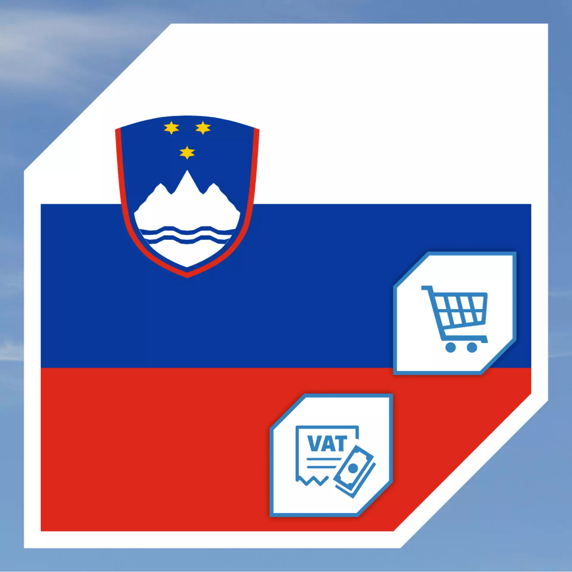 Numeri di Identificazione per le Aziende di E-Commerce in Slovenia